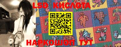 стаф Кулебаки