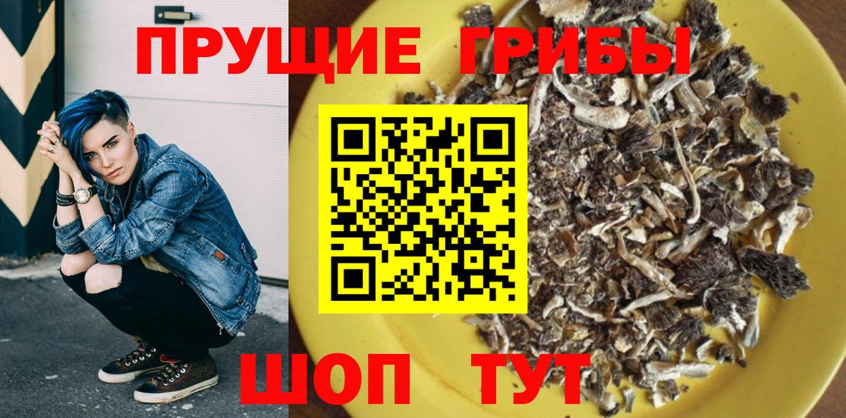 Псилоцибиновые грибы Psilocybine cubensis Ярославль