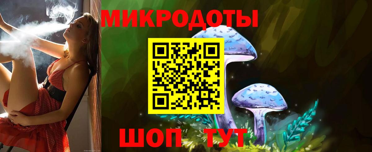 Псилоцибиновые грибы Cubensis  Вход с VPN  Ярославль 