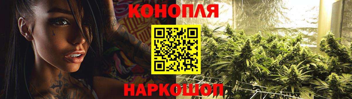 Бошки марихуана план Ярославль